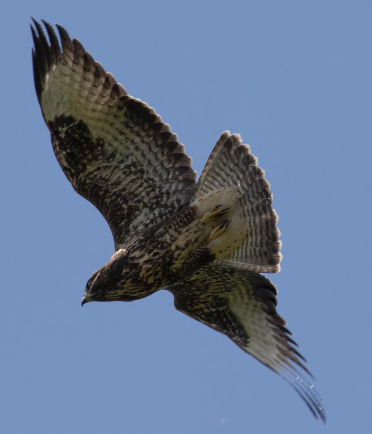 im Flug